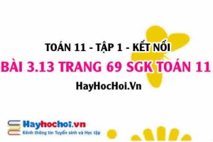 Giải bài 3.13 trang 69 Toán 11 tập 1 SGK Kết nối tri thức
